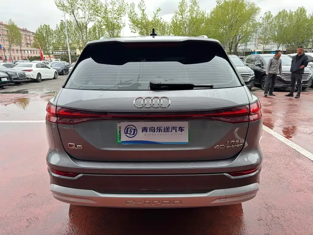 Audi Q5 e-tron 2024 из CN, фото 7