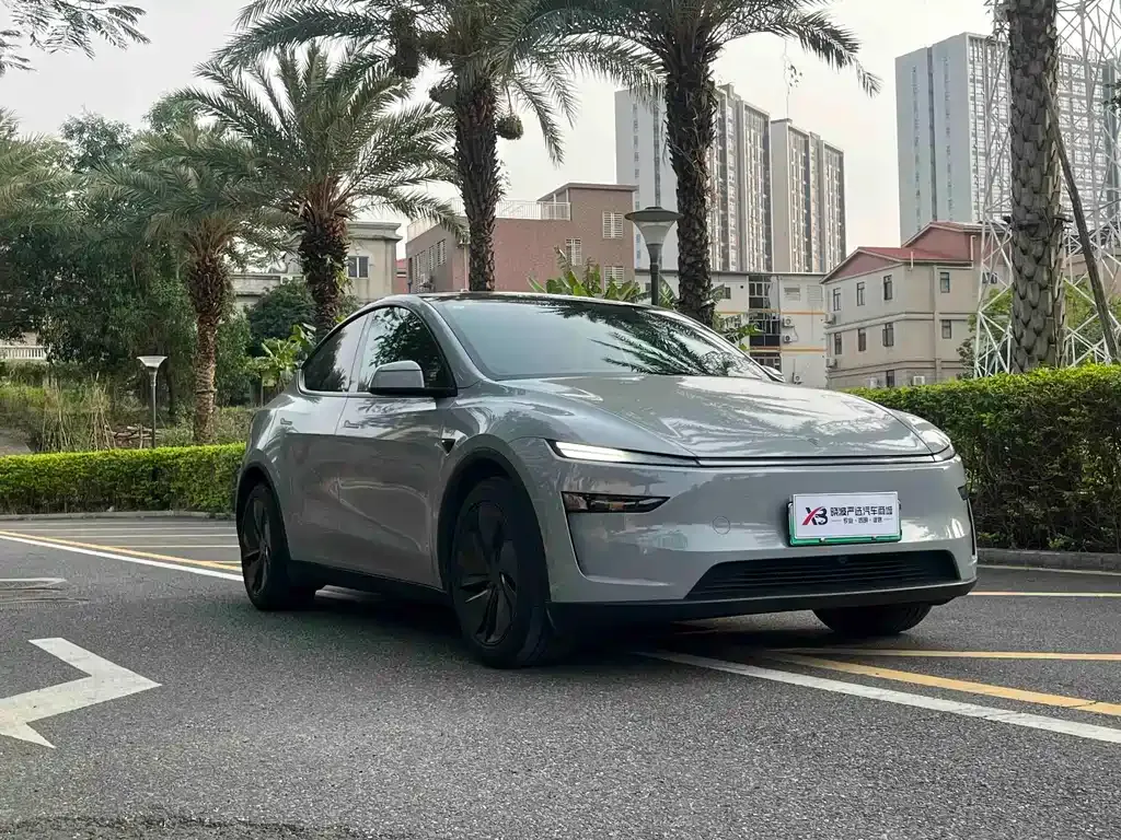 Tesla Model Y — фото 10