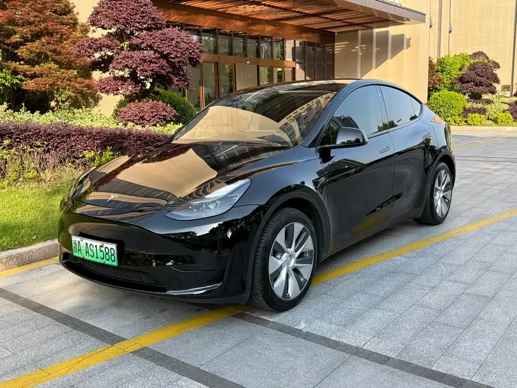 Tesla Model Y 2022 из CN, фото 1