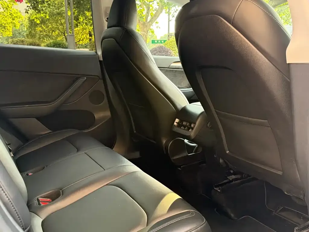 Tesla Model Y 2022 из CN, фото 4