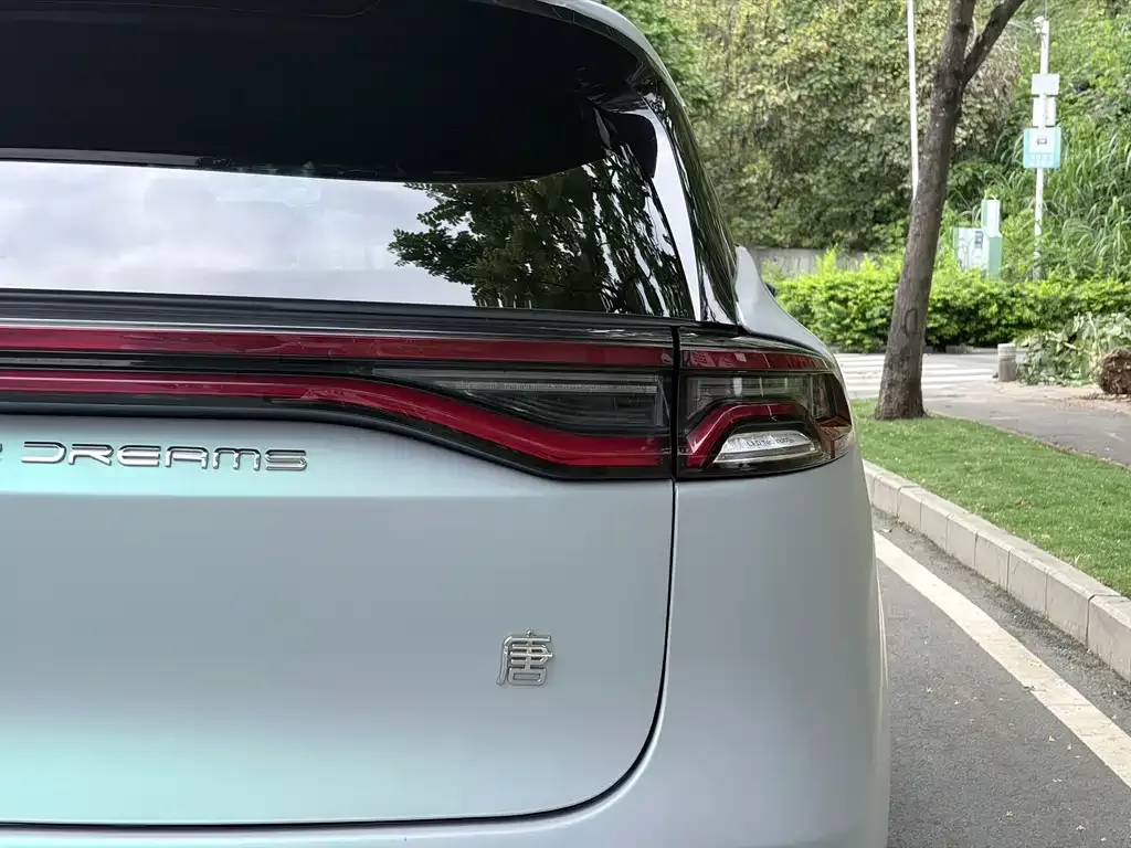 BYD Tang New Energy 2023 из CN, фото 8