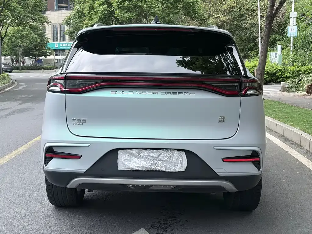 BYD Tang New Energy 2023 из CN, фото 10