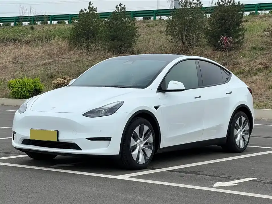 Tesla Model Y — фото 1