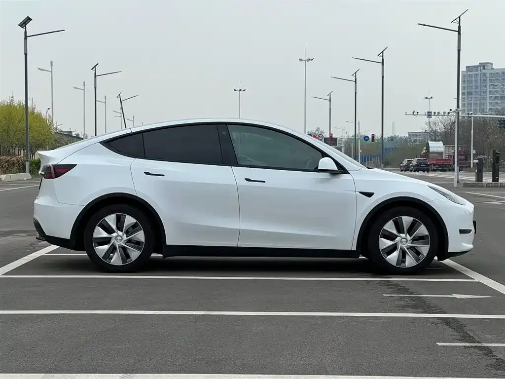 Tesla Model Y — фото 6