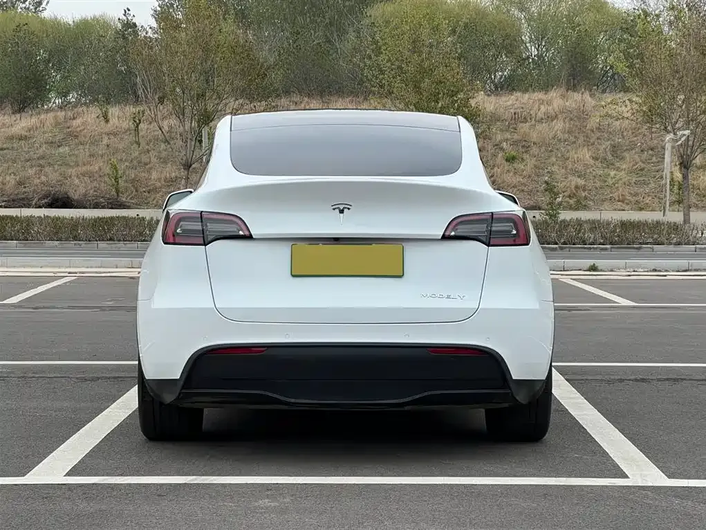 Tesla Model Y — фото 10