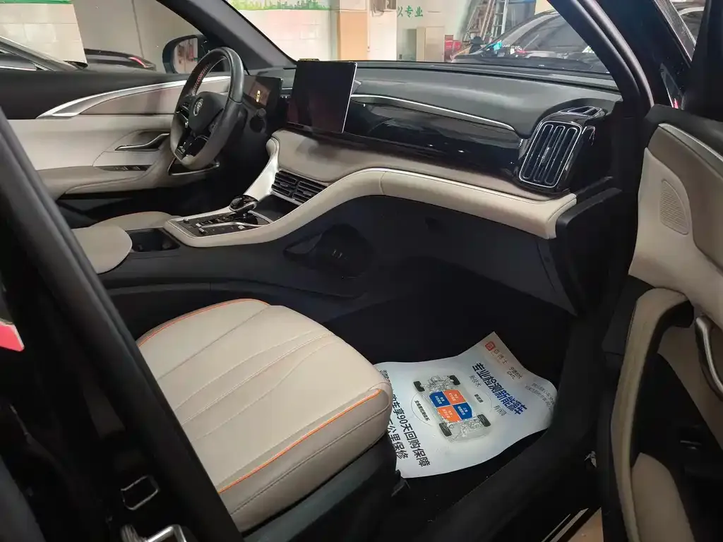 BYD Pro New Energy 2025 из CN, фото 9