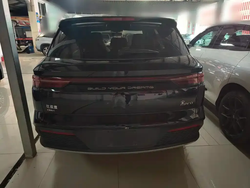BYD Pro New Energy 2025 из CN, фото 6