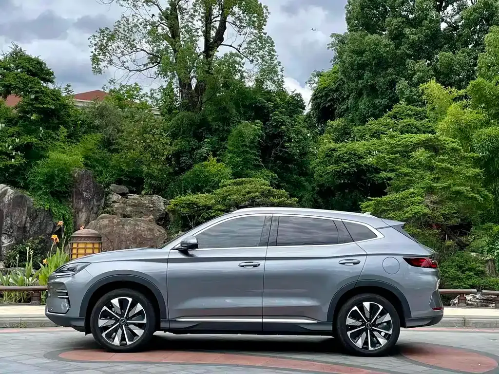 BYD PLUS New Energy — фото 9