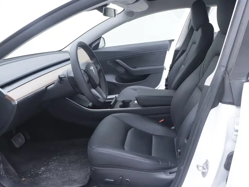 Tesla Model 3 2021 из CN, фото 5