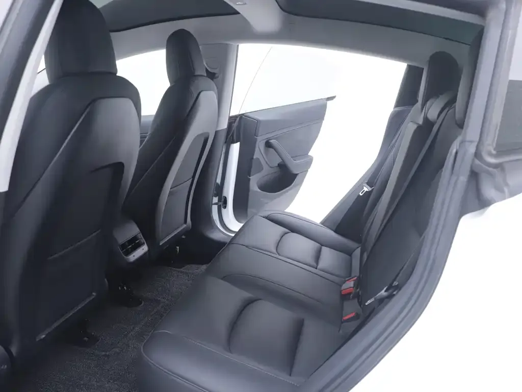 Tesla Model 3 2021 из CN, фото 6