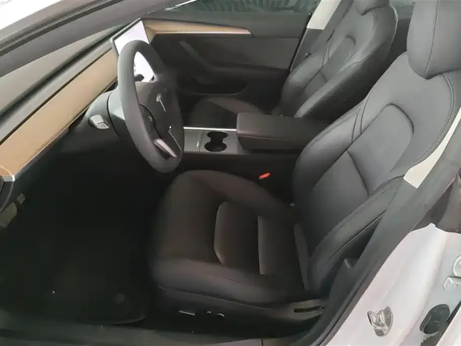 Tesla Model 3 2021 из CN, фото 4