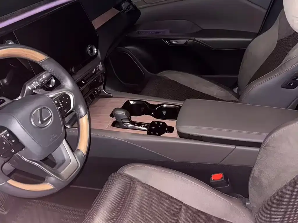 Lexus RX New Energy — фото 10