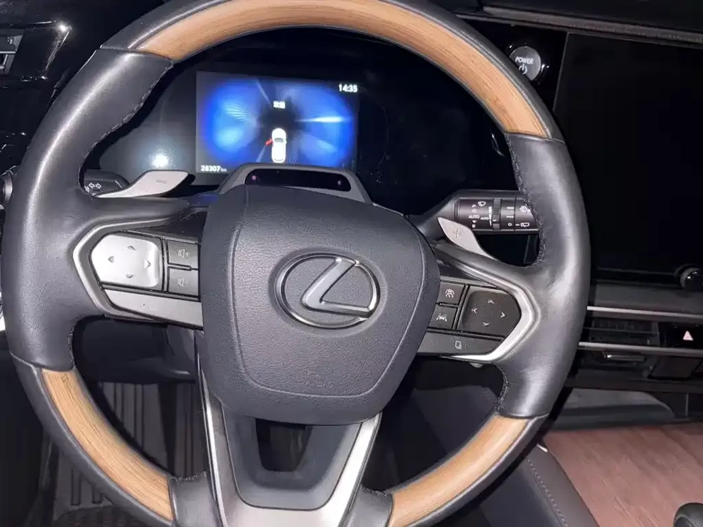 Lexus RX New Energy — фото 7