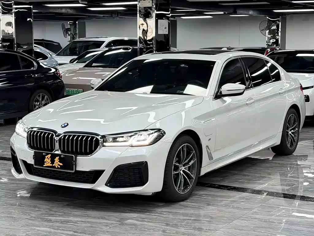 BMW 5 Series New Energy