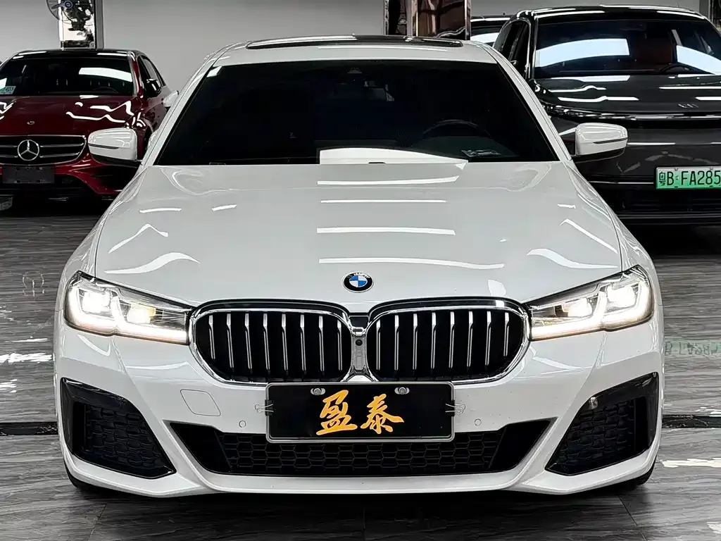 BMW 5 Series New Energy 2021 из CN, фото 2