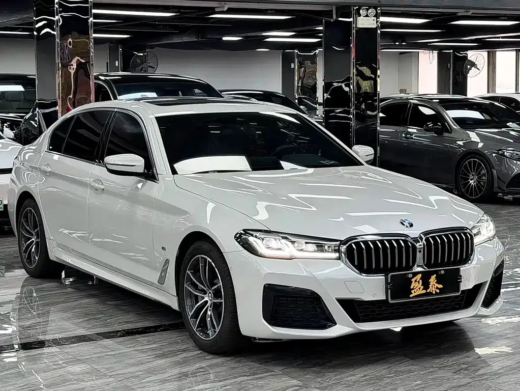 BMW 5 Series New Energy 2021 из CN, фото 5
