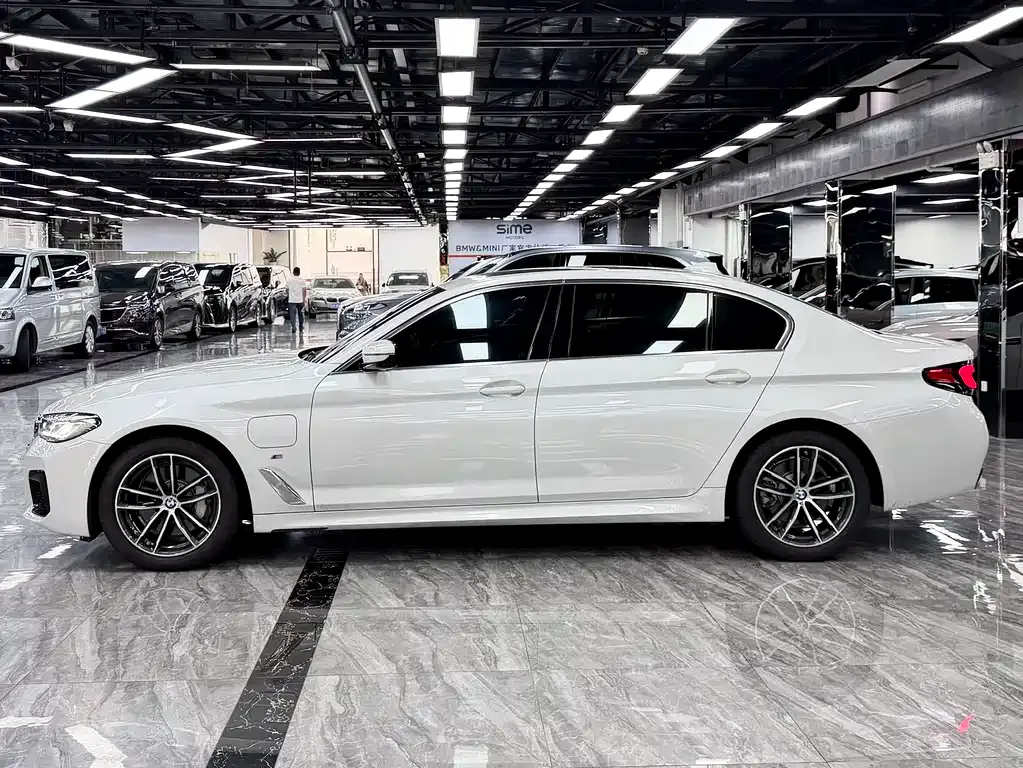 BMW 5 Series New Energy 2021 из CN, фото 8