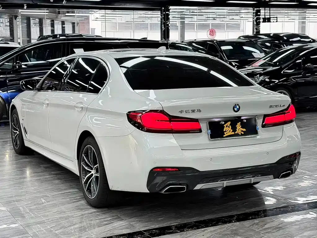 BMW 5 Series New Energy 2021 из CN, фото 10