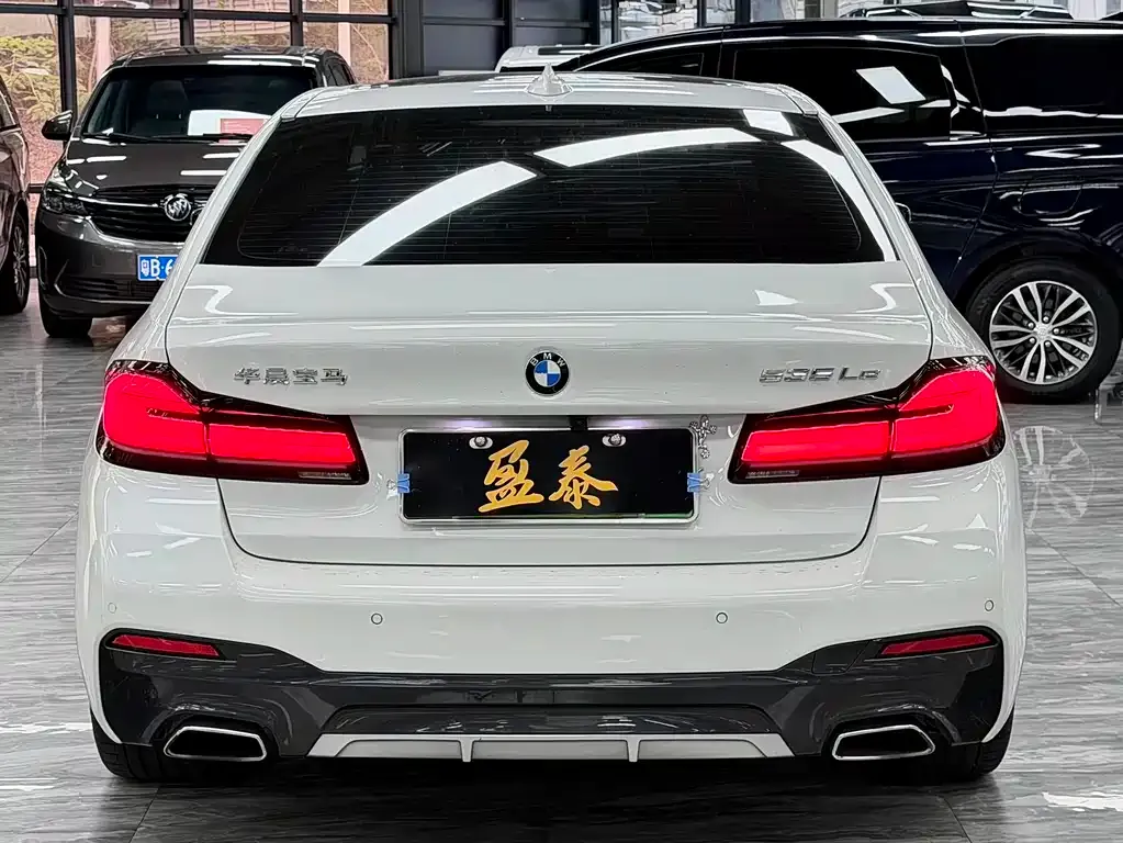 BMW 5 Series New Energy 2021 из CN, фото 7
