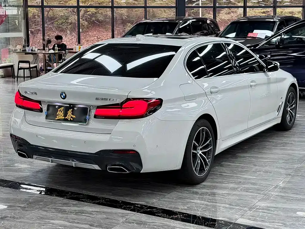 BMW 5 Series New Energy 2021 из CN, фото 9