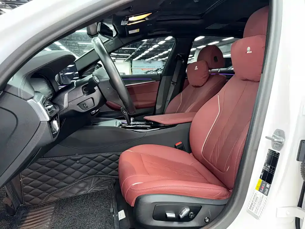 BMW 5 Series New Energy 2021 из CN, фото 6