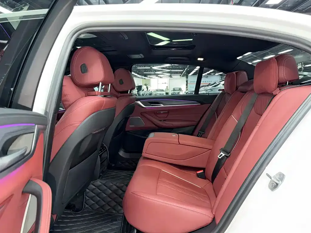 BMW 5 Series New Energy 2021 из CN, фото 4