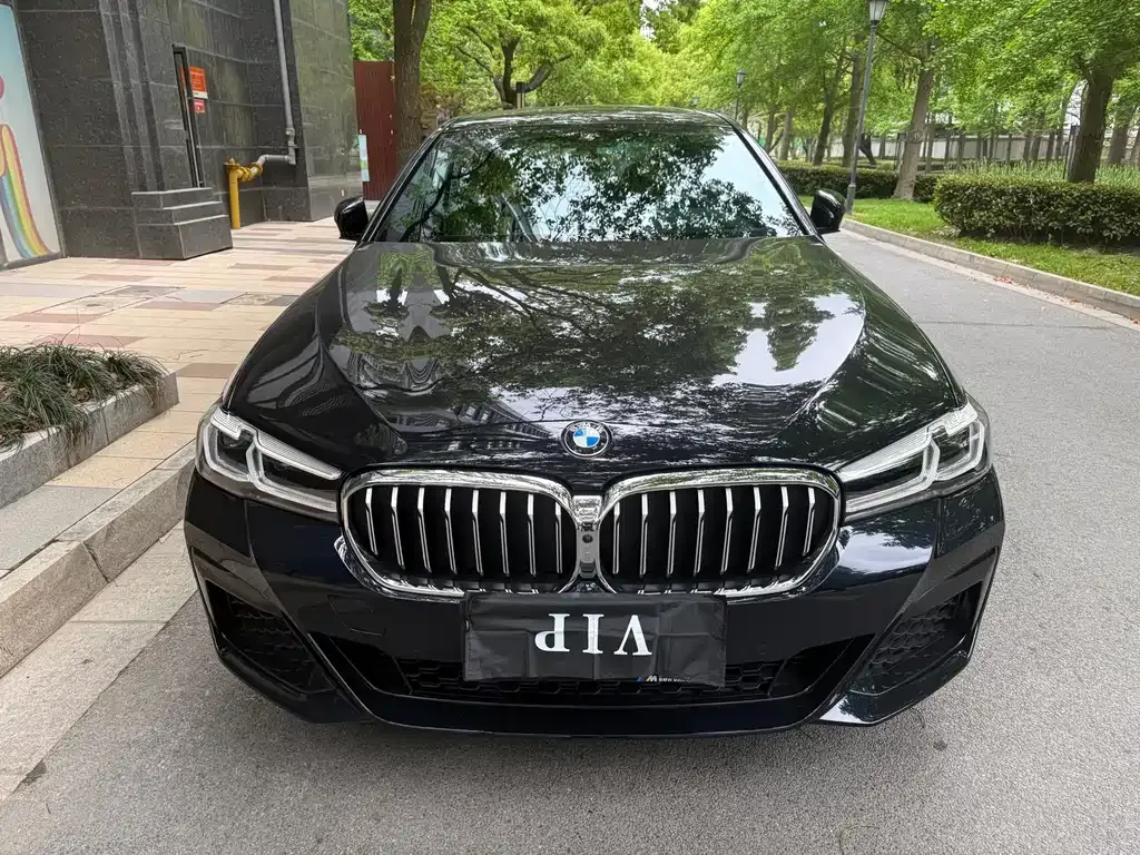 BMW 5 Series — фото 1
