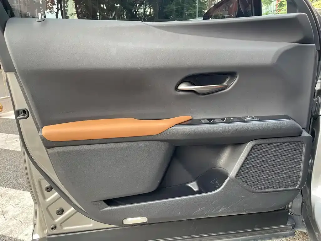 Lexus UX 2022 из CN, фото 4