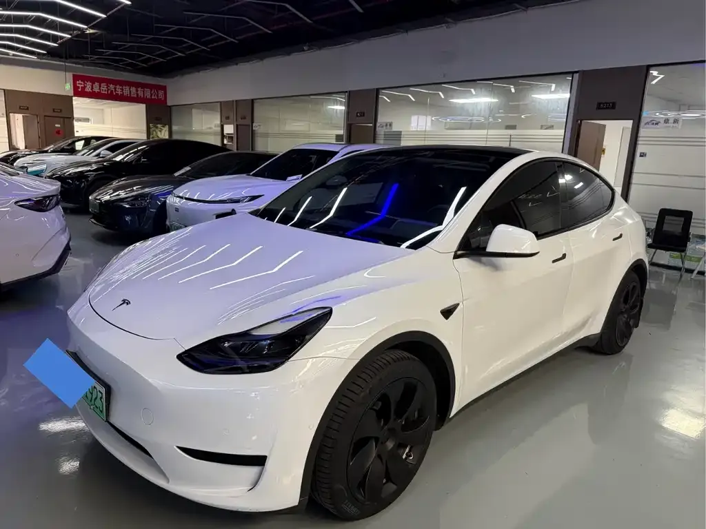 Tesla Model Y 2022 из CN, фото 1