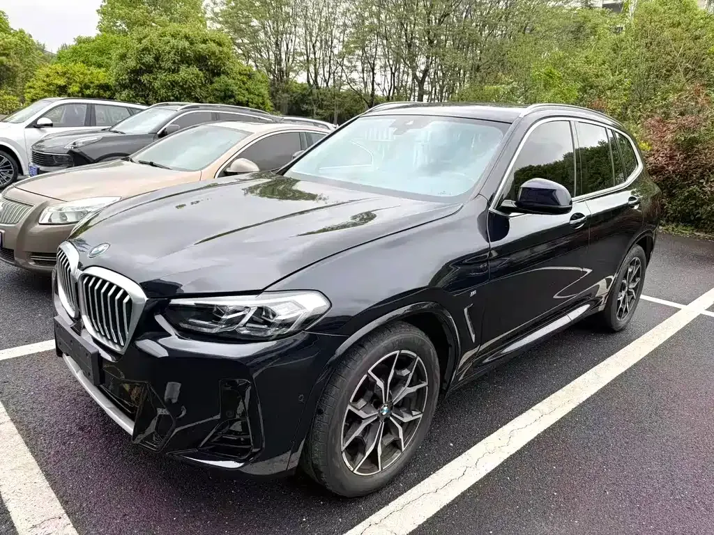 BMW X3 — фото 1