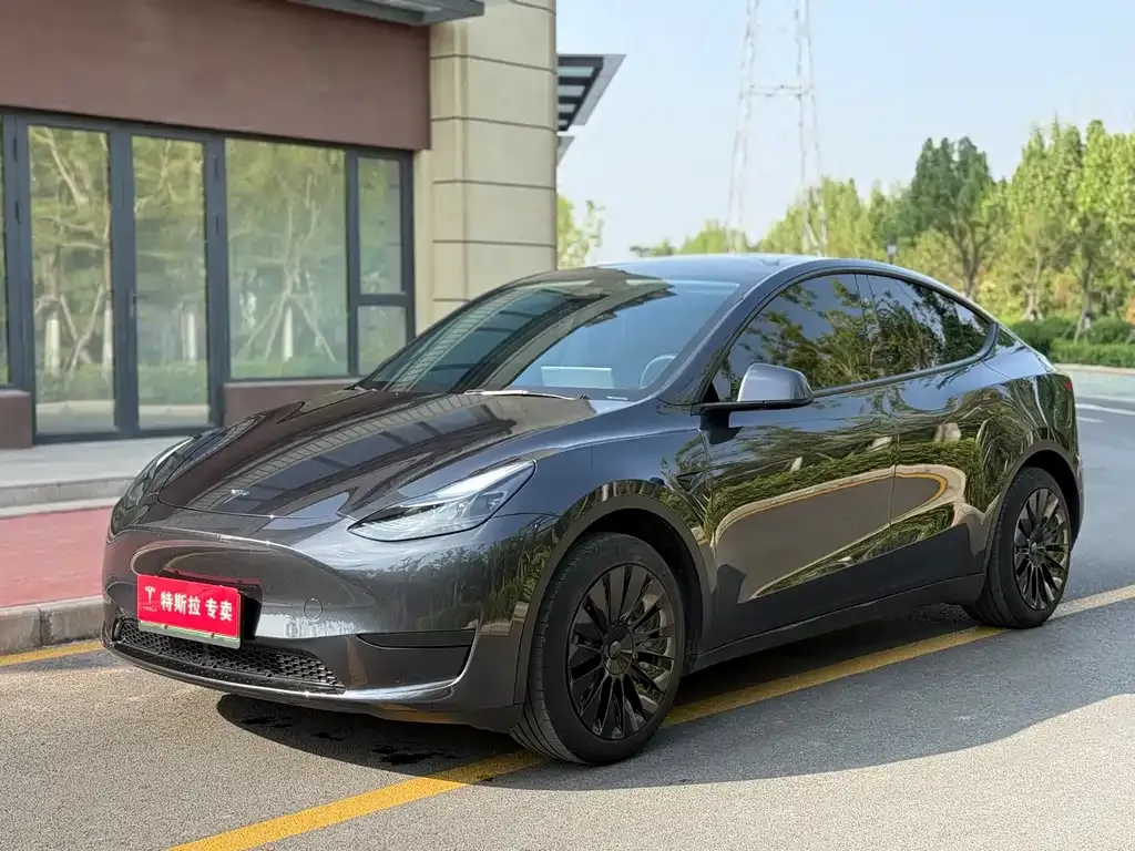 Tesla Model Y — фото 1