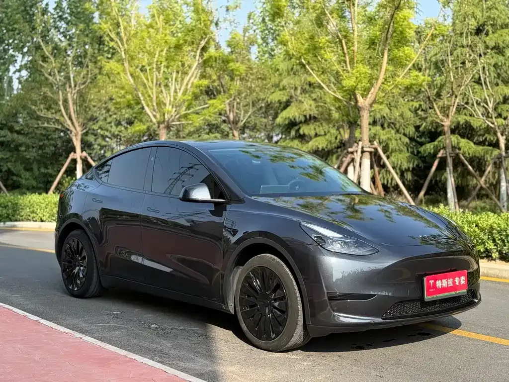 Tesla Model Y — фото 9