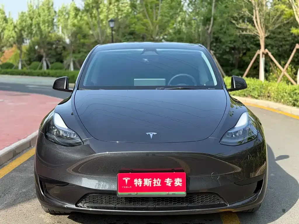 Tesla Model Y — фото 6