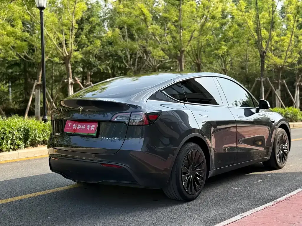 Tesla Model Y — фото 8