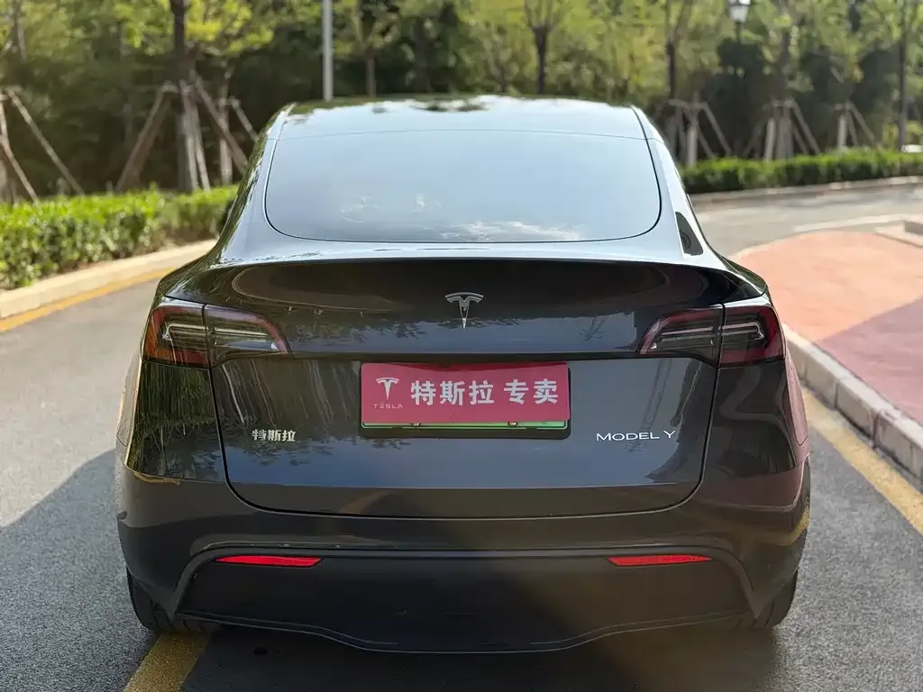 Tesla Model Y — фото 4