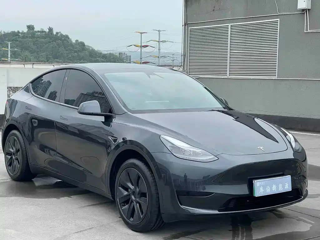 Tesla Model Y 2025 из CN, фото 5