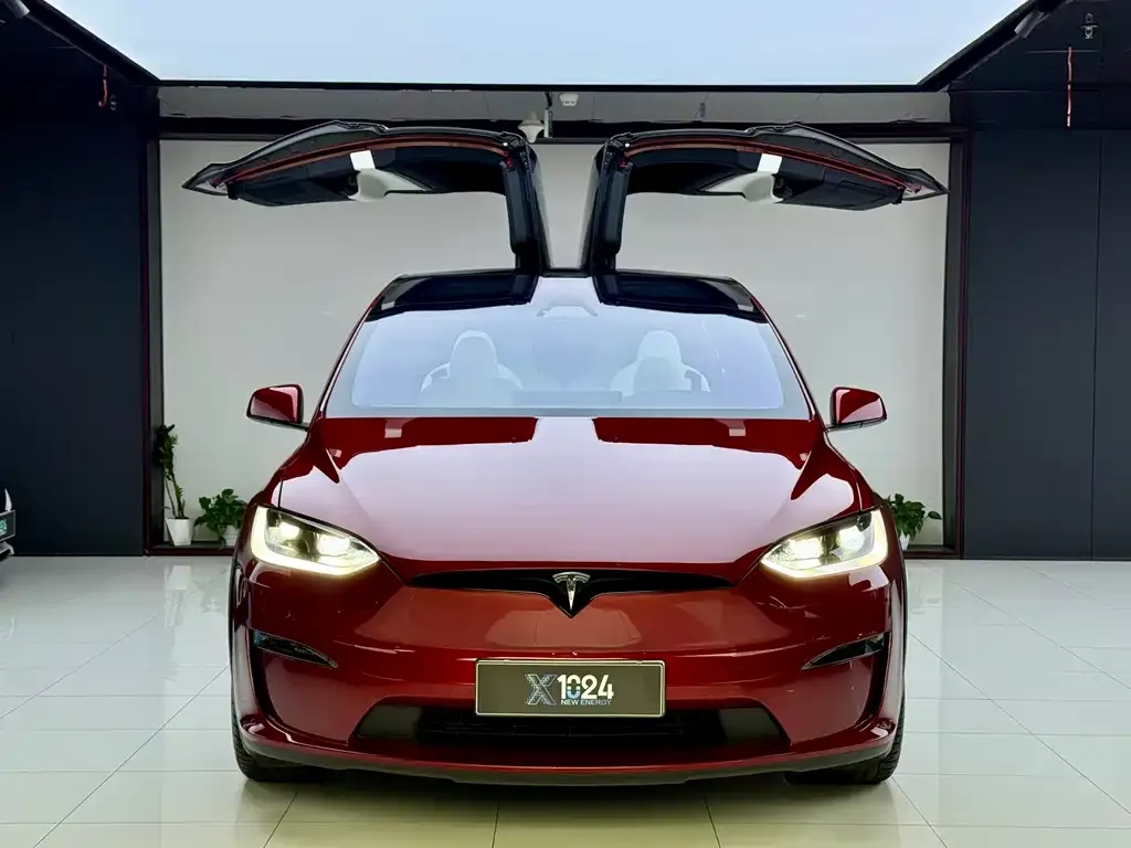 Tesla Model X 2023 из CN, фото 3