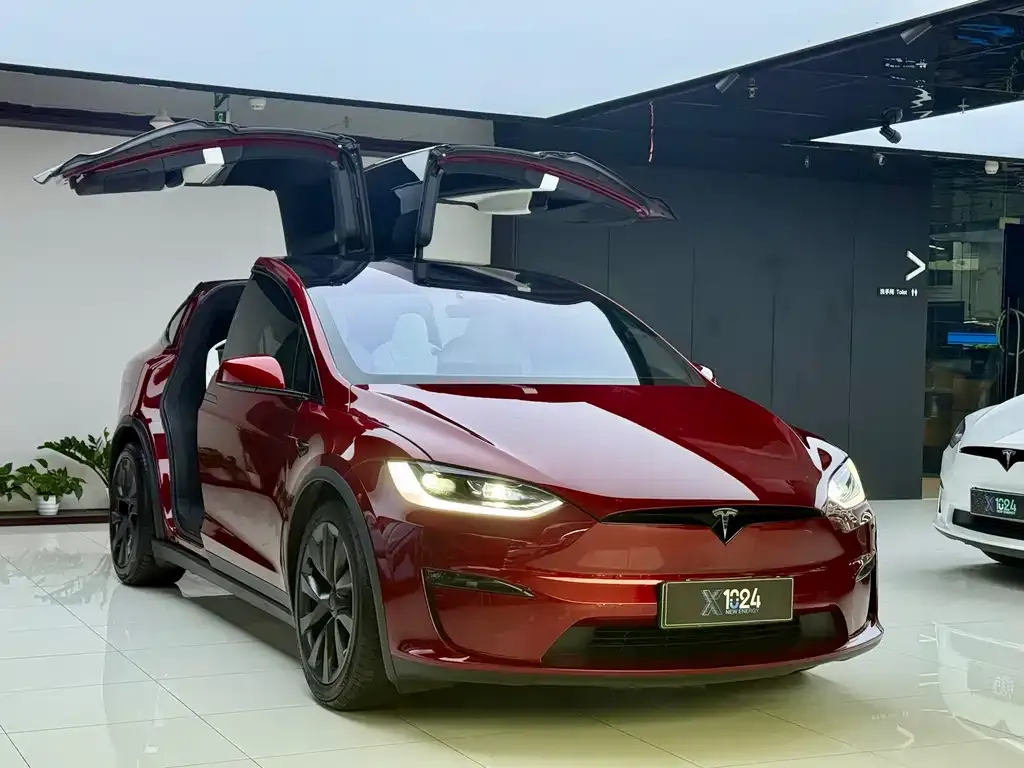 Tesla Model X 2023 из CN, фото 4