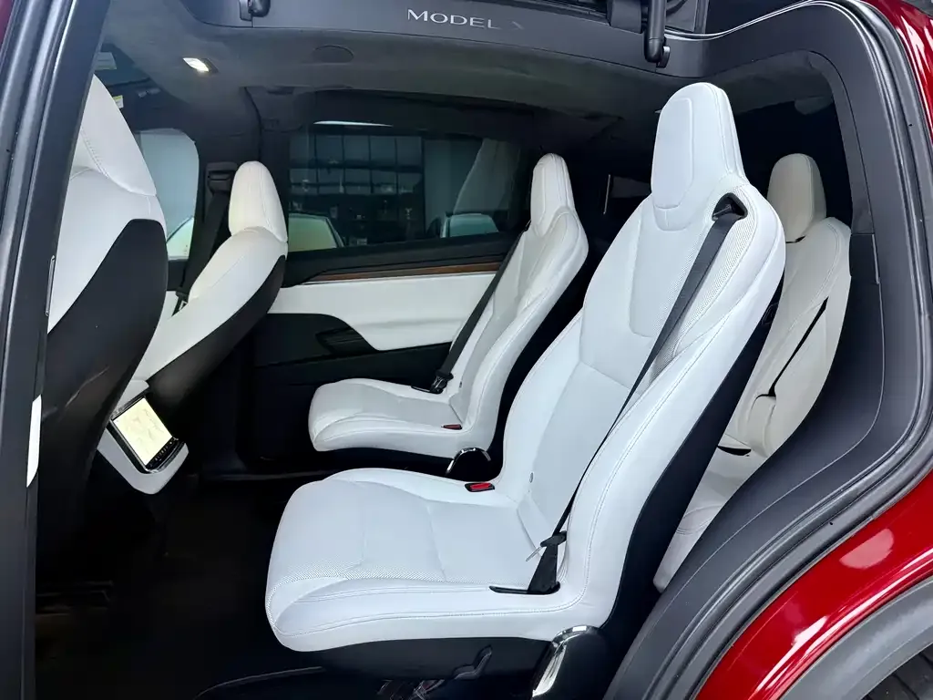 Tesla Model X 2023 из CN, фото 6