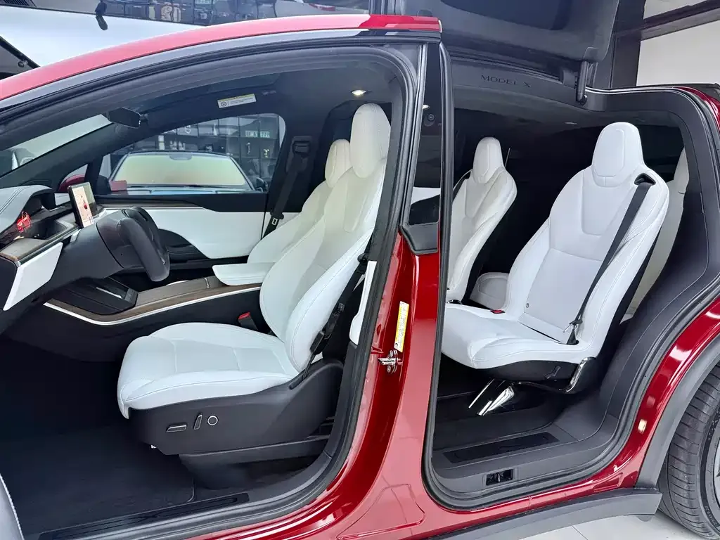 Tesla Model X 2023 из CN, фото 7