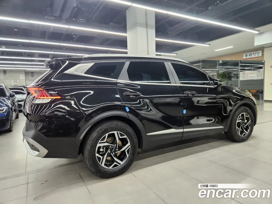 Kia Sportage — фото 8