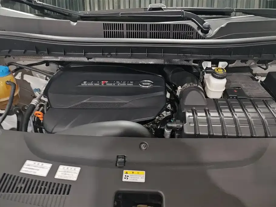 GAC Motor Trumpchi M8 2021 из CN, фото 10