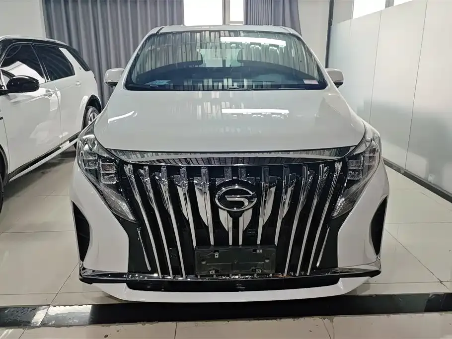 GAC Motor Trumpchi M8 2021 из CN, фото 6
