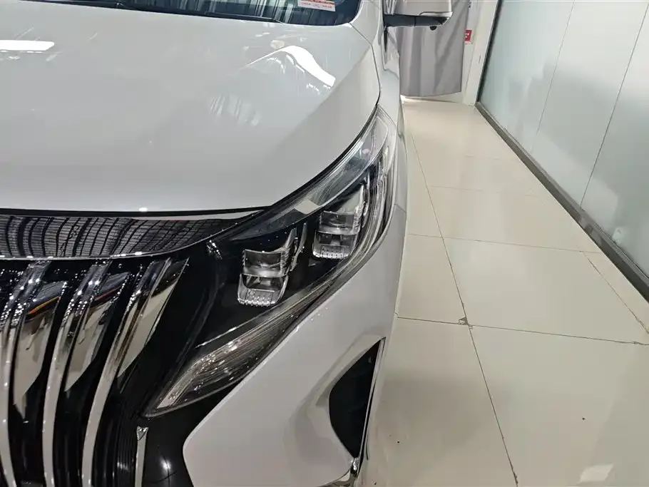 GAC Motor Trumpchi M8 2021 из CN, фото 3
