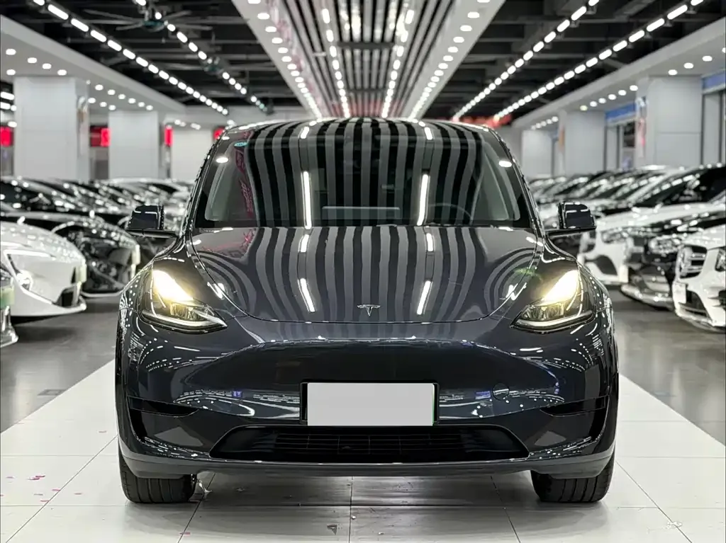 Tesla Model Y — фото 10
