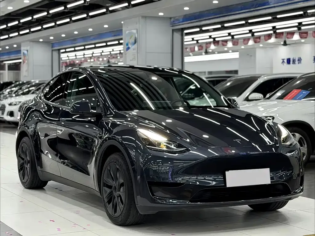 Tesla Model Y — фото 7