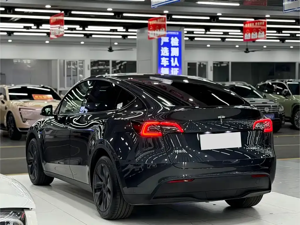 Tesla Model Y — фото 3