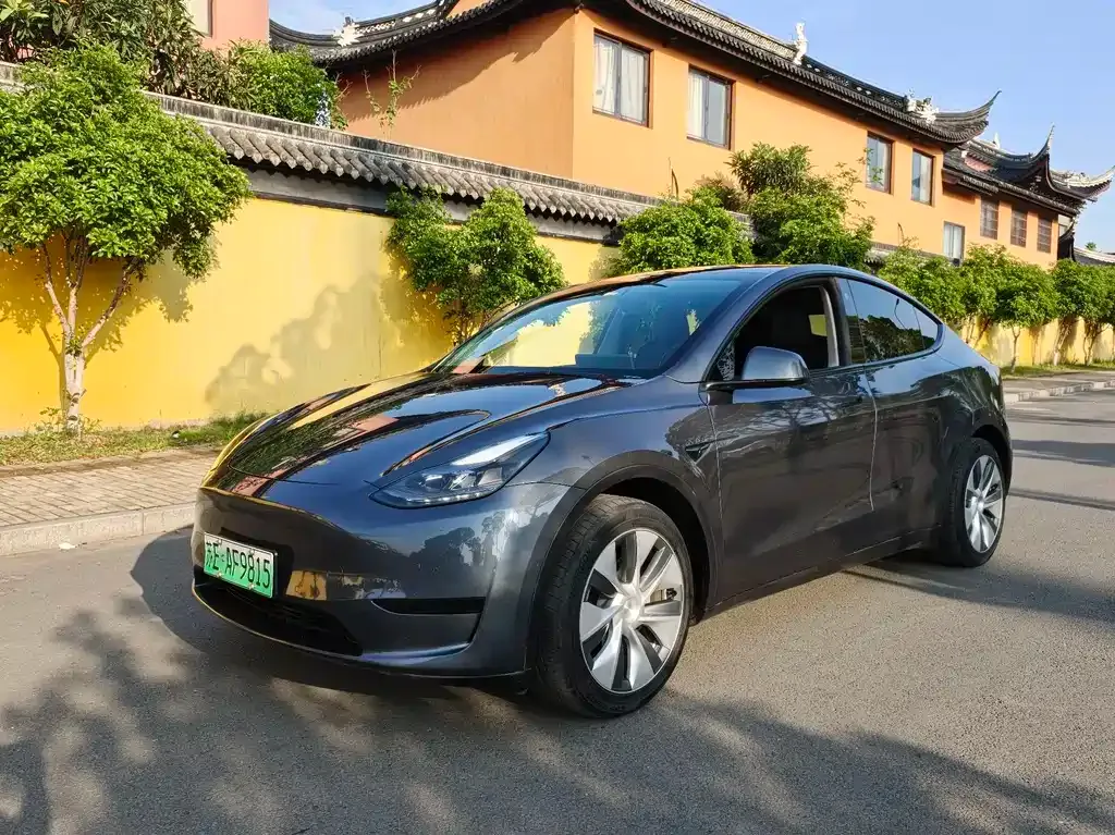 Tesla Model Y — фото 1