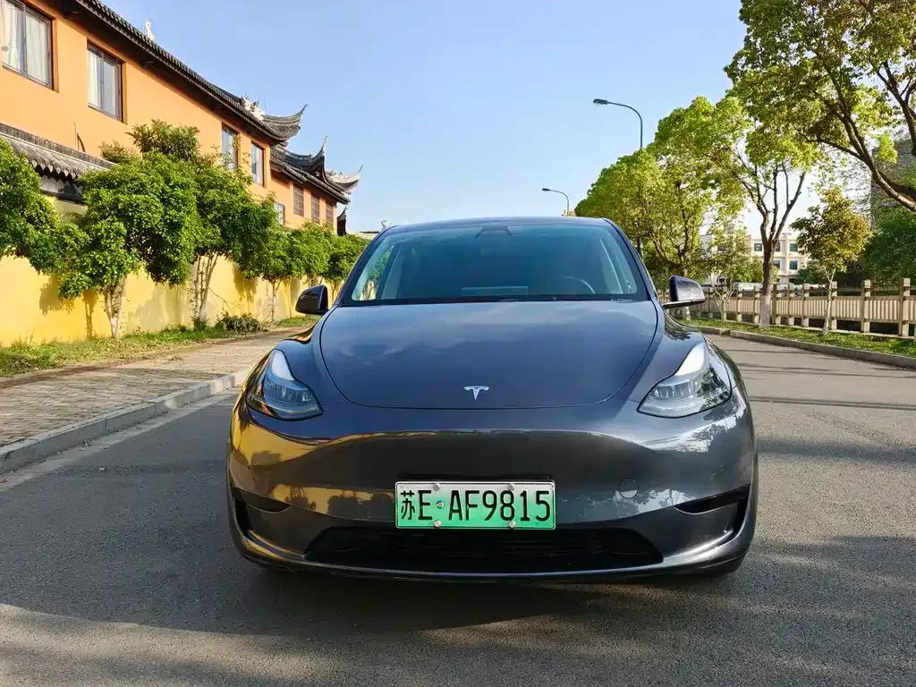 Tesla Model Y — фото 9