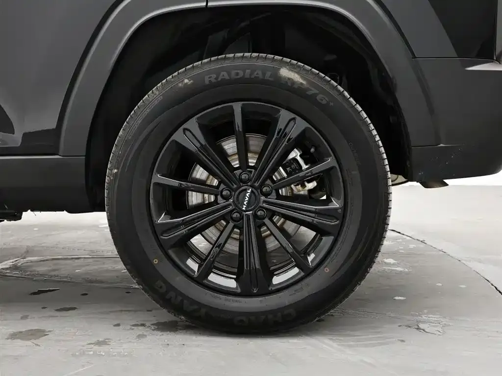Haval Menglong New Energy — фото 10
